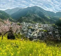 关于皖南猛虎队爆冷北城猛虎队，田径半决赛上演耐力碾压对手！反击锐度十足的信息